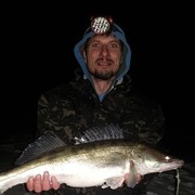 ���������� �����, ���� ������� ���������, 40 ���, ������������ ��� ������, ����� � ���������