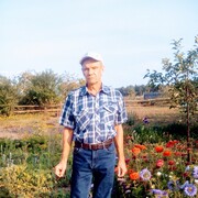  ,   , 62 ,     , c 