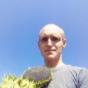 ���������� �����������, ���� ������� Alexander, 36 ���, ������������ ��� ������, ����� � ���������