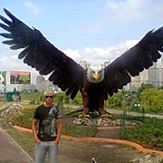  ,   , 40 ,   ,   , c 