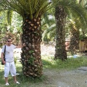  ,   , 45 ,   ,   , c , 