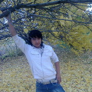  ,   Dari, 34 ,  