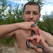 ���������� ������, ���� ������� ���������, 40 ���, ������������ ��� ������, ����� � ���������, c�������� ���������