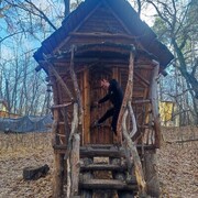 ���������� ������, ���� ������� Ravhan, 50 ���, ������������ ��� ������, ����� � ���������