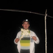 ���������� �����, ���� ������� ������, 38 ���, ������������ ��� ������