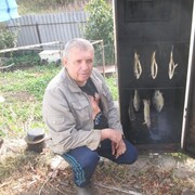  ,   , 67 ,   ,   
