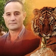  ,   , 54 ,  