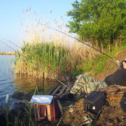 ���������� ���������, ���� ������� �������, 40 ���, ������������ ��� ������, ����� � ���������, c�������� ���������