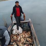 ���������� ������, ���� ������� ������, 41 ���, ������������ ��� ������, ����� � ���������