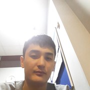  -,   , 41 ,  