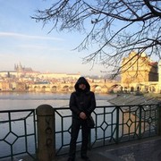  ,   Andreisidi, 43 ,   