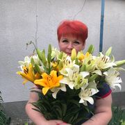 ,   , 51 ,   