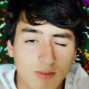 ���������� ��������, ���� ����� ������, 24 ����, ������������ ��� c�������� ���������