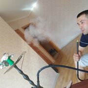 ��������, ���� 2019