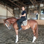 ���������� �����-���������, ���� ������� ������, 43 ����, ������������ ��� ������, ����� � ���������, c�������� ���������