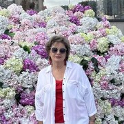 ���������� ������, ���� ������� ��������, 73 ����, ������������ ��� ���������