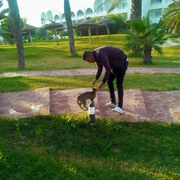 ���������� ������, ���� ������� ������ �����, 42 ����, ������������ ��� ������, ����� � ���������