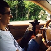 ���������� ��������, ���� ������� �����, 39 ���, ������������ ��� ������, ����� � ���������, c�������� ���������, ���������