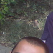 ���������� �����, ���� ������� �����, 46 ���, ������������ ��� ������, ����� � ���������, c�������� ���������