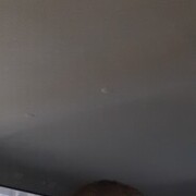  ,   Aleksis, 47 ,   ,   , c 