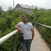  -,   , 51 ,   ,   
