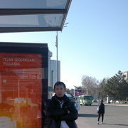  ,   Sayt, 41 ,   , 