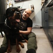 ���������� �����-���������, ���� ������� ����������, 42 ����, ������������ ��� ������, ����� � ���������