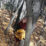  ,   , 39 ,   ,   