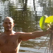  ,   , 51 ,  