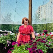 ���������� �����-���������, ���� ������� �������, 44 ����, ������������ ��� ����� � ���������, c�������� ���������