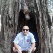  ,   ARAYIK, 61 ,   ,   , c 