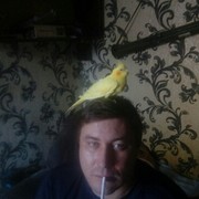 ���������� ������, ���� ������� �����, 43 ����, ������������ ��� ������, ����� � ���������, c�������� ���������