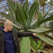 ���������� ������, ���� ������� ��������, 40 ���, ������������ ��� ������, ����� � ���������