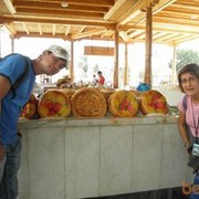  ,   Hurshid, 36 ,   ,   , c 