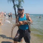  ,   EDGAR, 46 ,   ,   , c 