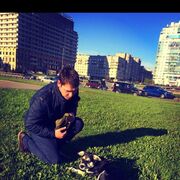 ���������� �����-���������, ���� ������� �������, 36 ���, ������������ ��� c�������� ���������