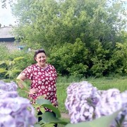 ���������� ������������, ���� ������� �����, 55 ���, ������������ ��� ����� � ���������, c�������� ���������