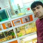  ,   , 37 ,   ,   , c 