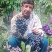  ,   Leonid142, 70 ,   ,   , c 