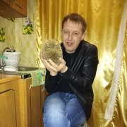 ���������� �����������, ���� ������� ���������, 42 ����, ������������ ��� ������, ����� � ���������, c�������� ���������