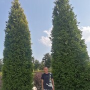  -,   , 37 ,   c 