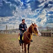  ,   Civan, 27 ,   ,   