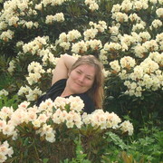 ���������� ����������, ���� ������� ���������, 33 ����, ������������ ��� ������, ����� � ���������