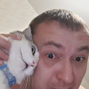 ���������� �����, ���� ������� ������, 40 ���, ������������ ��� c�������� ���������