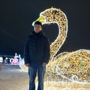 ���������� ���������� �����, ���� ������� �����, 43 ����, ������������ 