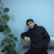  ,   Koce_came, 31 ,     , c 