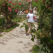 ����� ������������ �����