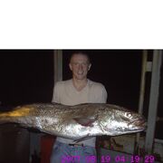 ���������� ��������, ���� ������� ������ �����, 44 ����, ������������ ��� ���������