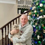 ���������� ������, ���� ������� ����, 66 ���, ������������ ��� ������, ����� � ���������