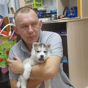  ,   , 33 ,   ,   , 